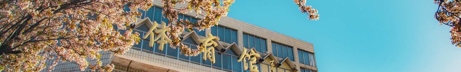 73882必赢游戏欢迎光临